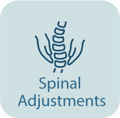 Spinal Adjustments